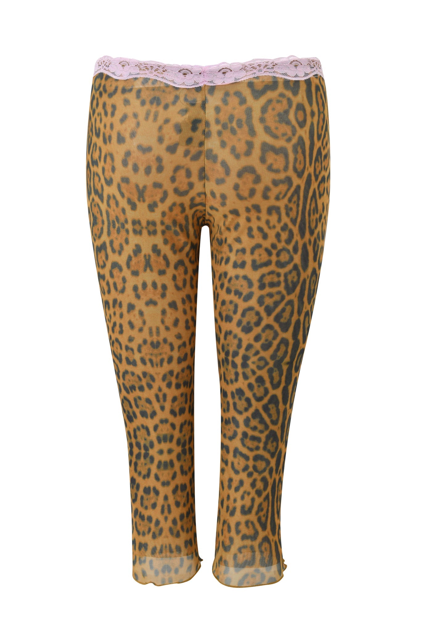 TASHI CAPRI - PANTHERA