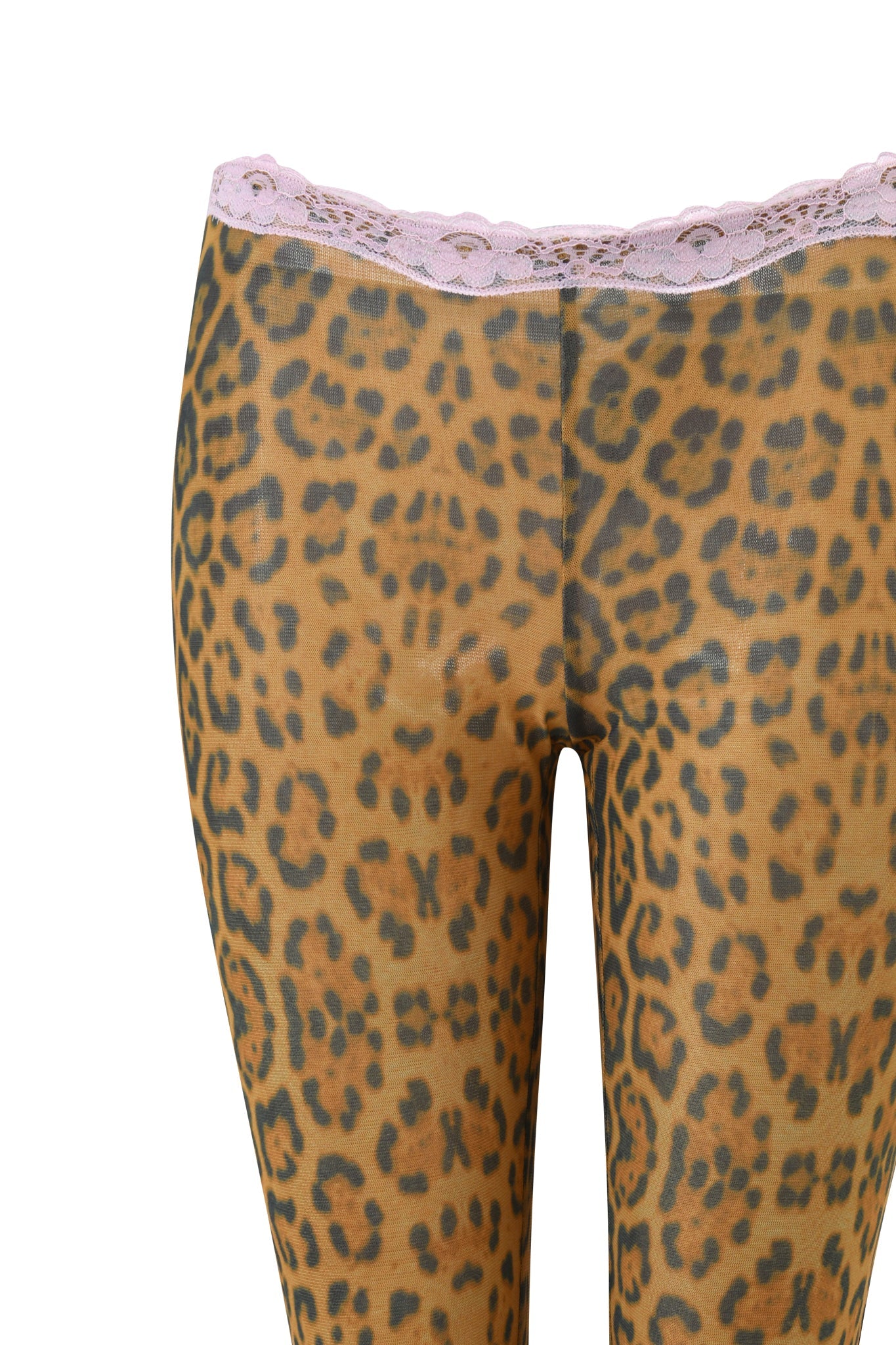 TASHI CAPRI - PANTHERA