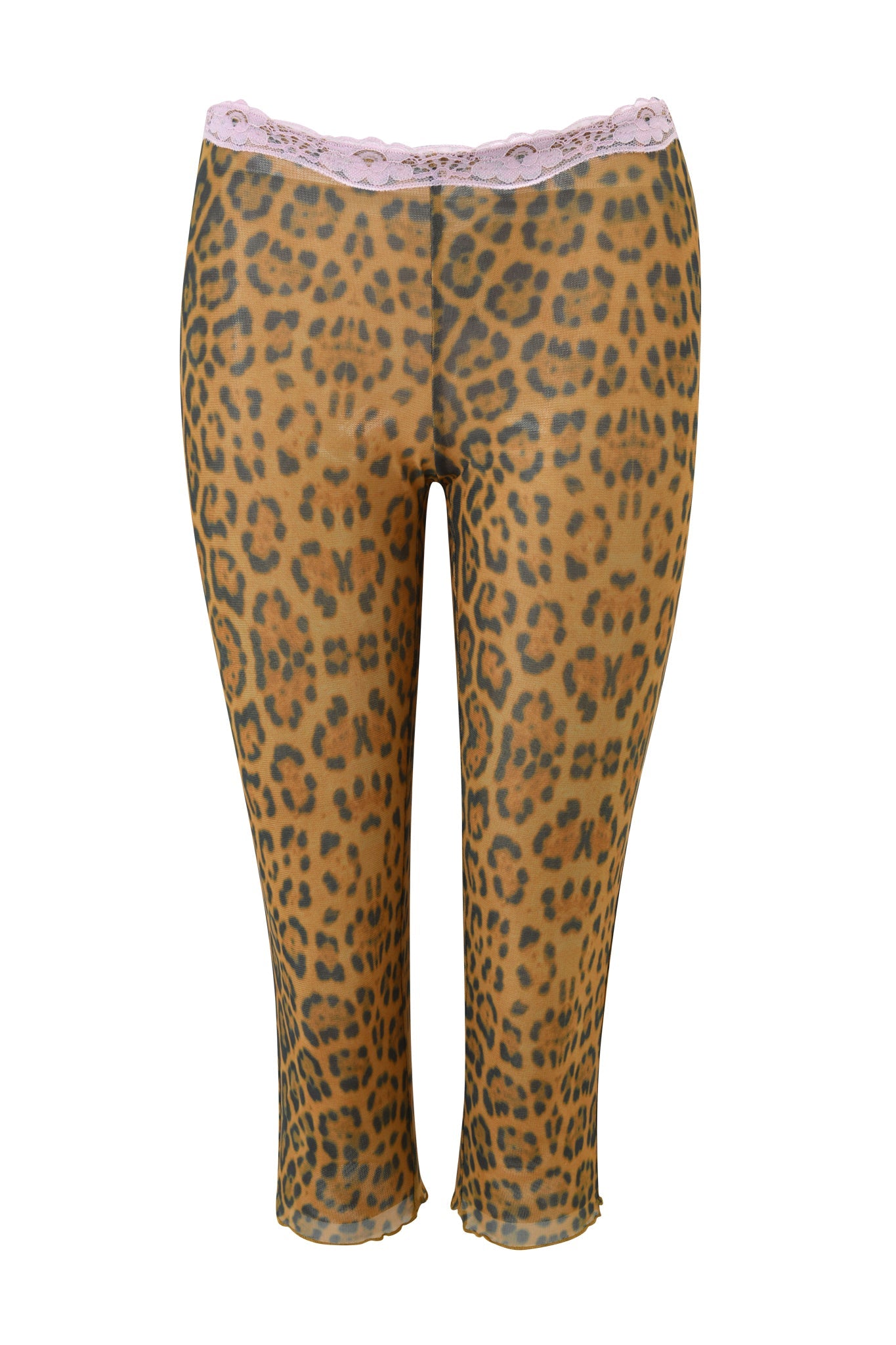 TASHI CAPRI - PANTHERA